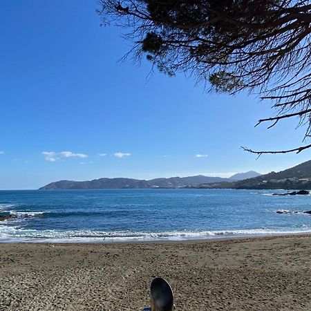 Gran Sol De La Farella Διαμέρισμα Llança Εξωτερικό φωτογραφία